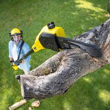 Best Arborist Consultation Services  in Lake Meade, PA